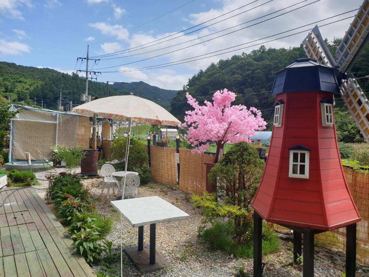 스카이 비발디 펜션 홍천 외부 사진